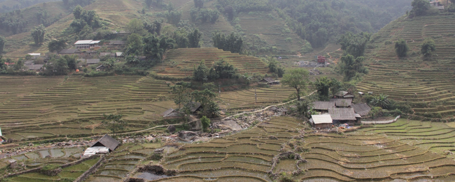 Les rizières coupées dans les montagnes au nord du Vietnam (