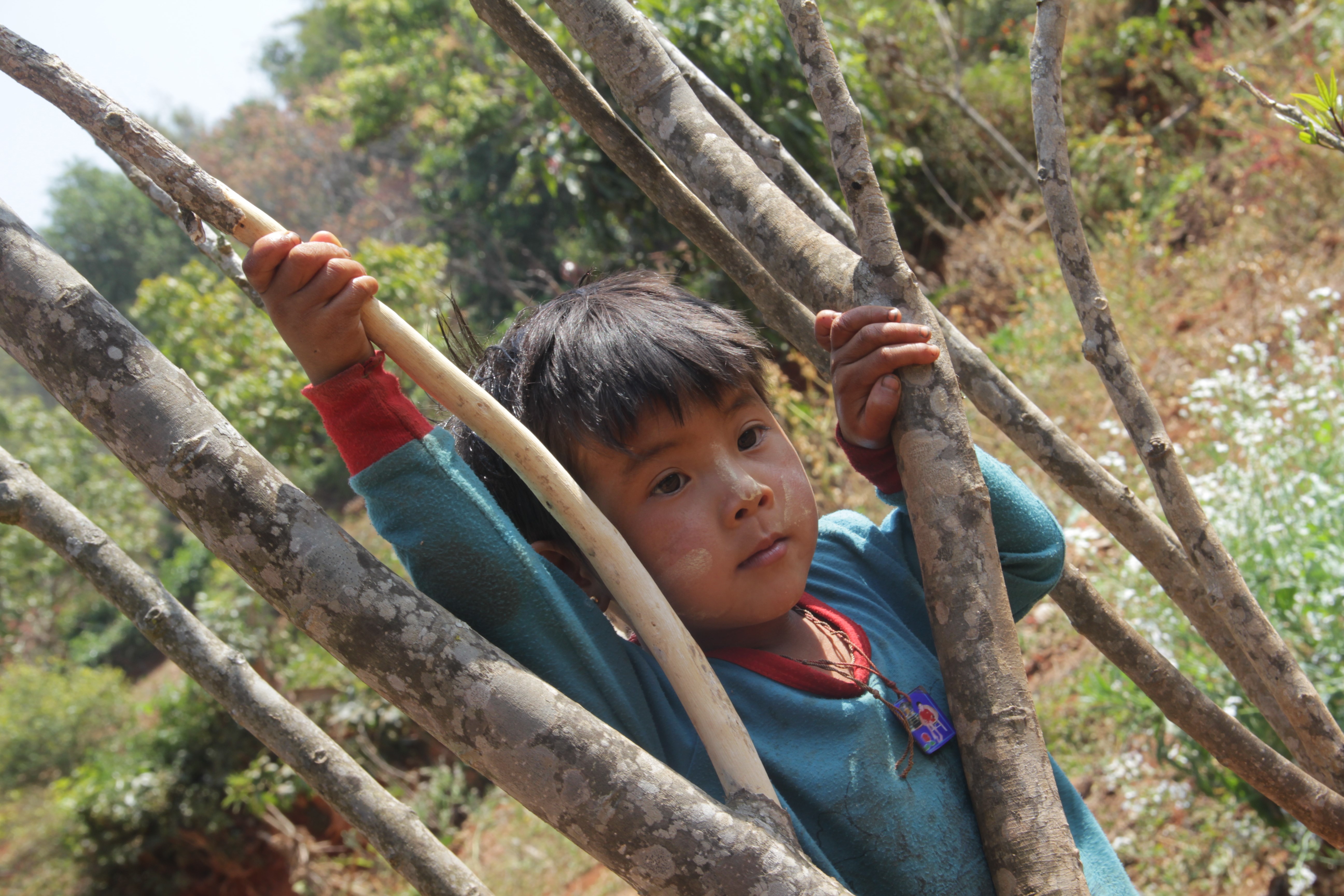 Perché sur un arbre, un enfant regarde passer les touristes dans son village (© Aurélie Bacheley).